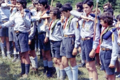 scai-1972-22