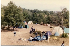 campo-scai-1981-n-12