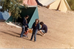 campo-scai-1981-n-8
