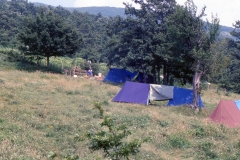 campo-1989-7