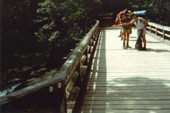 1989-20-route-foresta-nera