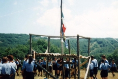 1995-51-rep-rocca-dorisio