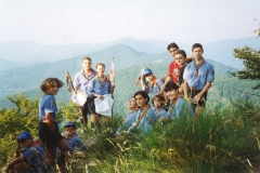 1995-53-rep-rocca-dorisio